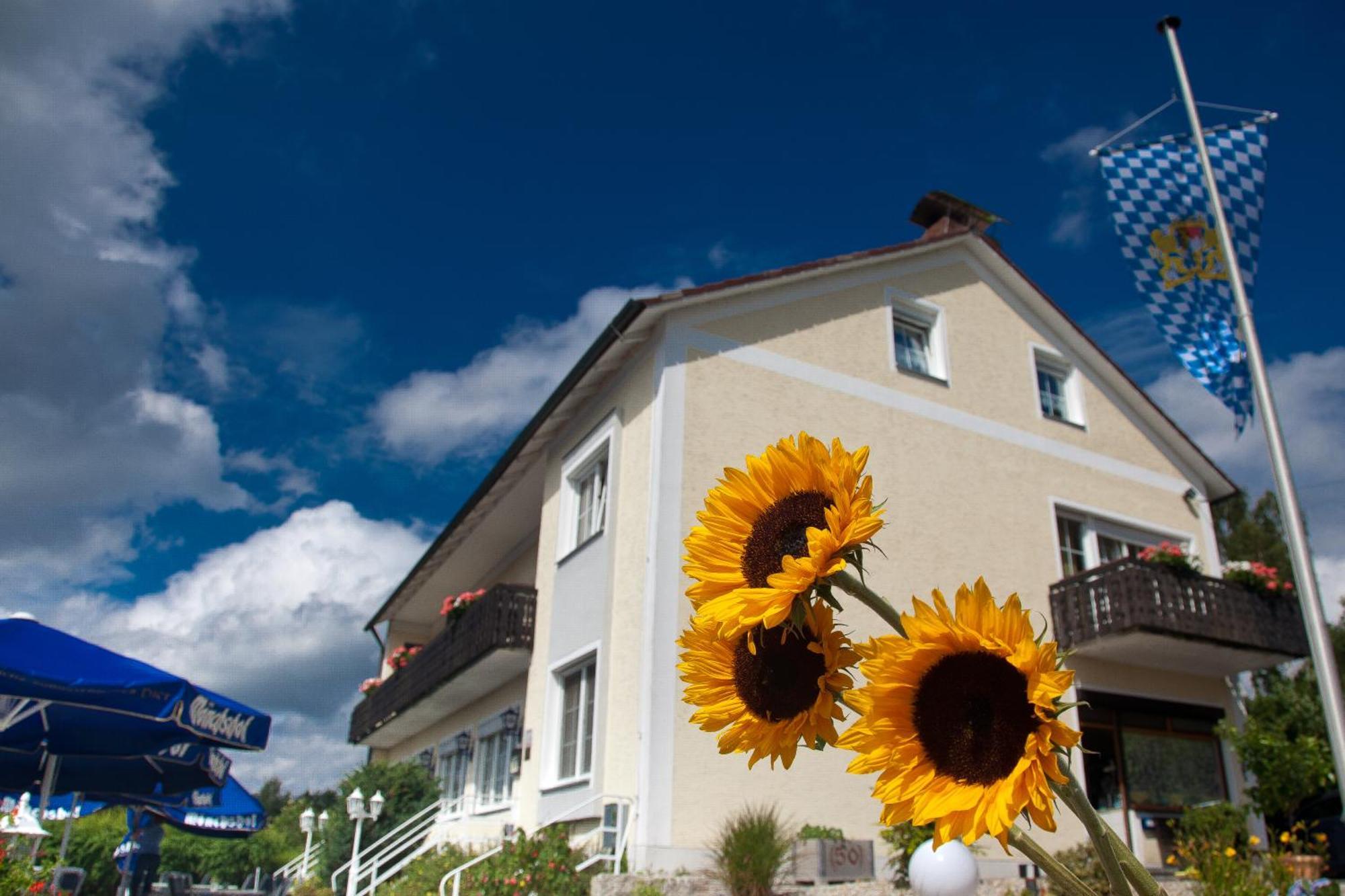 Landgasthof Am Sonnenhang Vohenstrauss Exterior foto